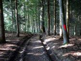  Blick auf die Wanderstrecke 
